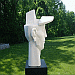 The Youth / Teenager's Head